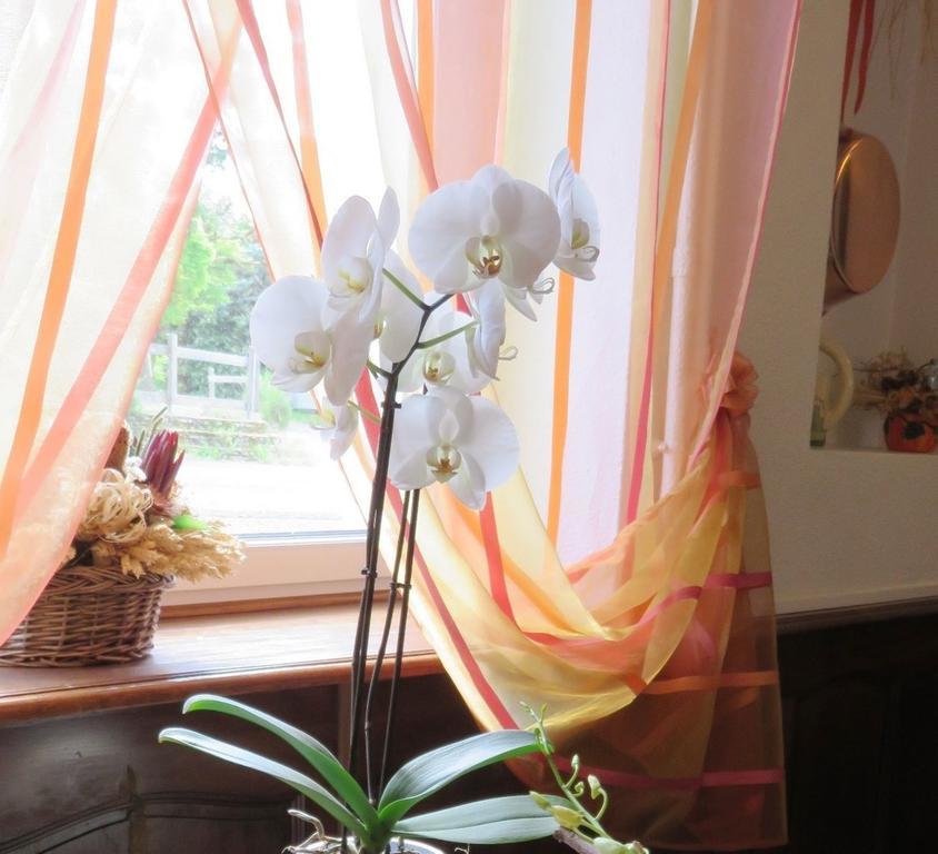 Frayssinet Le Relais Du Pont De Rhodes酒店 外观 照片