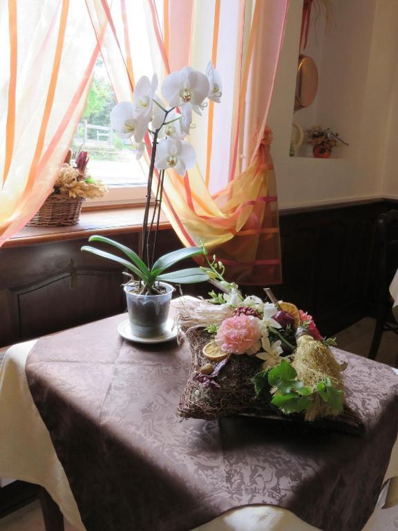 Frayssinet Le Relais Du Pont De Rhodes酒店 外观 照片